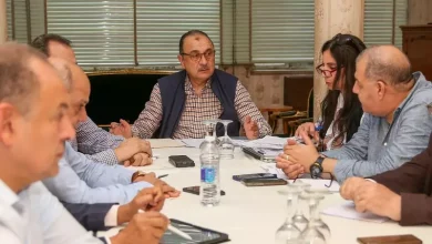 وزير قطاع الأعمال