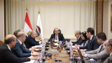 وزير قطاع الأعمال