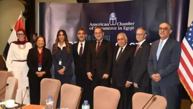 وزير المالية