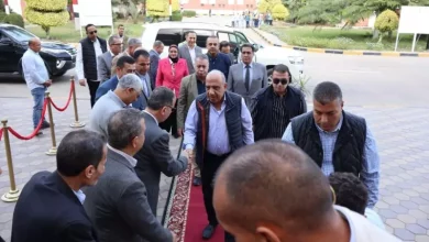 وزير الكهرباء