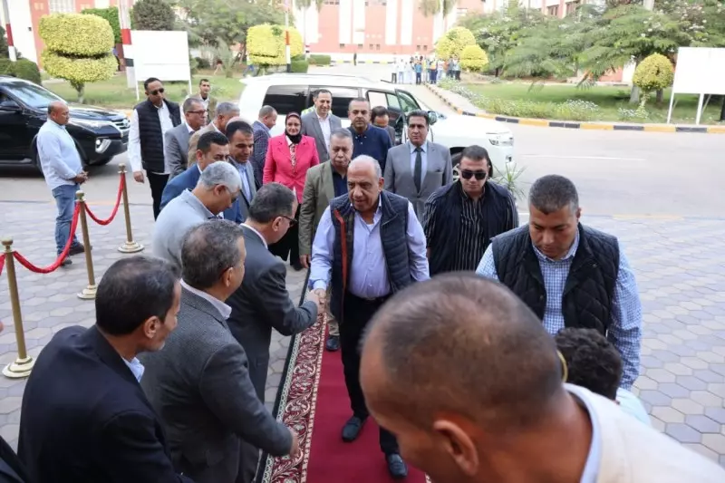 وزير الكهرباء