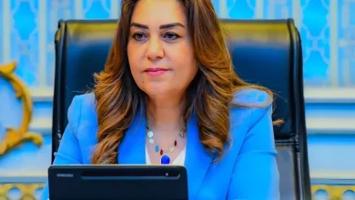 وزيرة التنمية