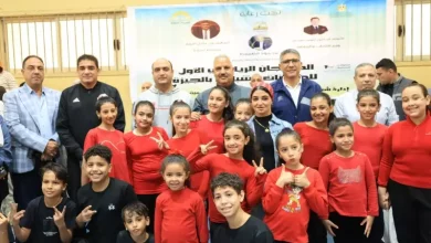 محافظ الجيزة