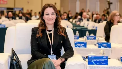 نائب محافظ الجيزة