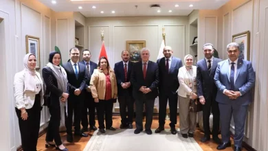 التعليم العالي