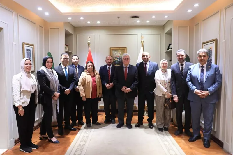 التعليم العالي