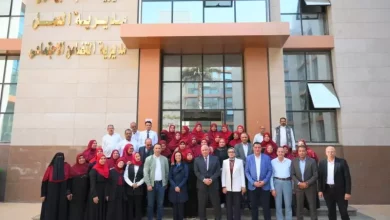 التضامن الاجتماعي