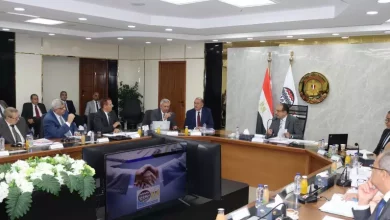 القابضة للأدوية