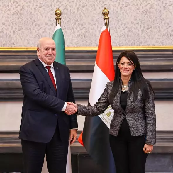 وزيرة التخطيط