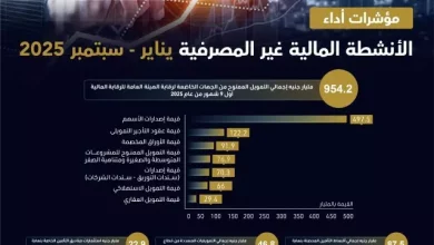 الرقابة المالية