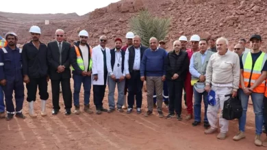 وزير الكهرباء