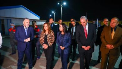 التنمية المحلية