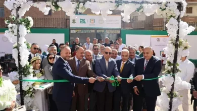 البنك الأهلي