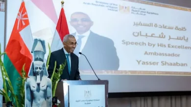 السفارة المصرية