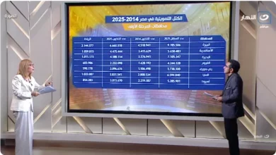 الكاتب الصحفي أكرم الالفي