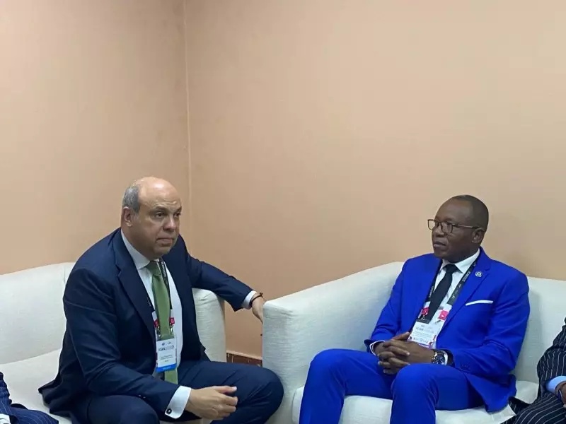 وزير الطيران