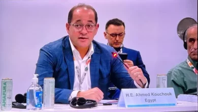 وزير المالية