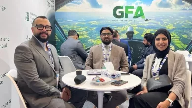 سكاي فيجن الجوية