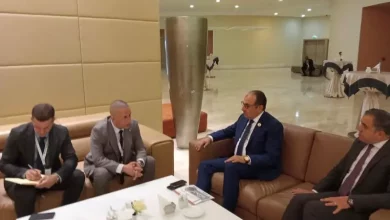 وزير قطاع الأعمال