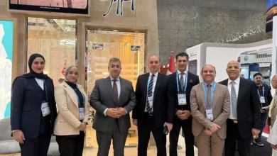 الجناح المصري