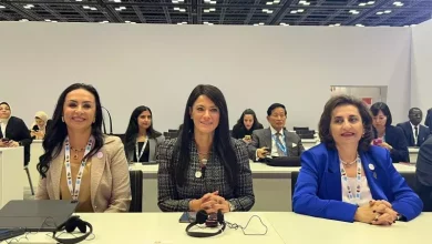 التضامن الاجتماعي