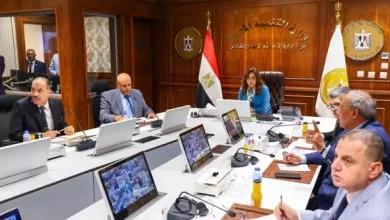 التنمية المحلية