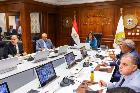 التنمية المحلية