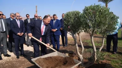 رئيس هيئة الرقابة المالية