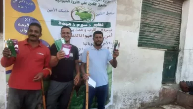 صندوق التامين على الثروة الحيوانية