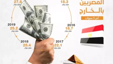تحويلات المصريين