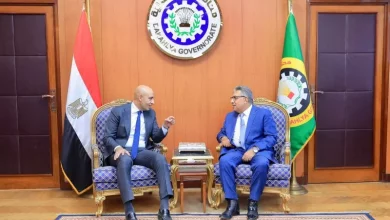 محافظ الدقهلية