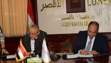 هيئة تنمية الصعيد