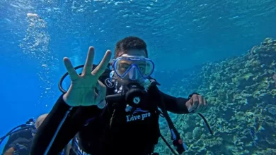 وزارة البيئة