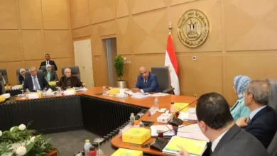 وزارة الكهرباء