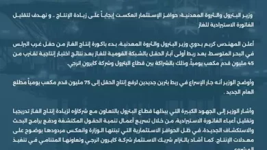 وزير البترول