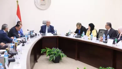 وزير التعليم العالي