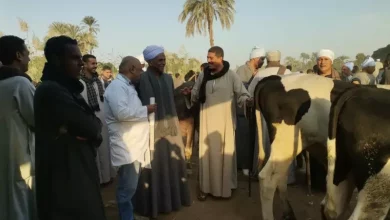 وزير الزراعة