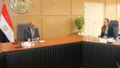 وزير الكهرباء