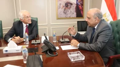 وزير الكهرباء