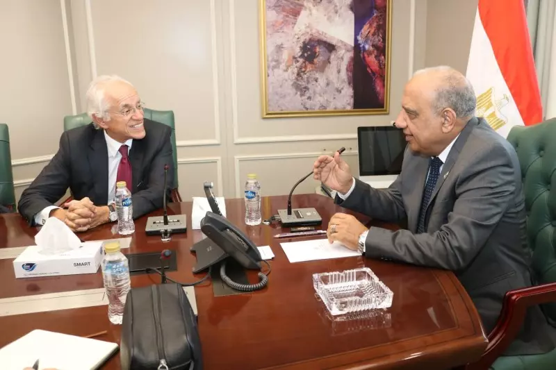 وزير الكهرباء