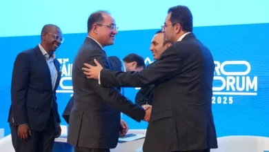 وزير المالية