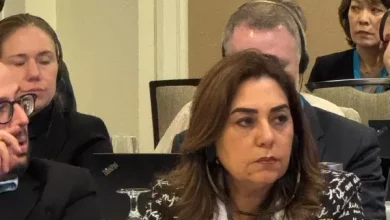 وزيرة التنمية المحلية