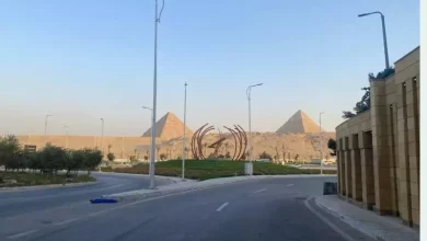 وزيرة التنمية المحلية