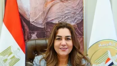 وزيرة التنمية المحلية