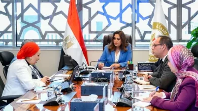 وزيرة التنمية المحلية