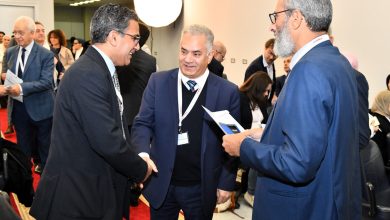 المتحف المصري