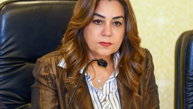 التنمية المحلية