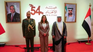 وزيرة التنمية