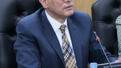 محافظ الجيزة