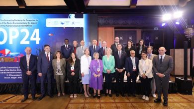 وزيرة التنمية